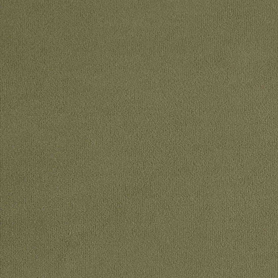 Brigette 3-Seater Olive Green Velvet Sofa with Antique Brass Castor Legs